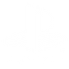 PlayStation Pakistan